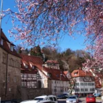 Esslingen Old town and map
